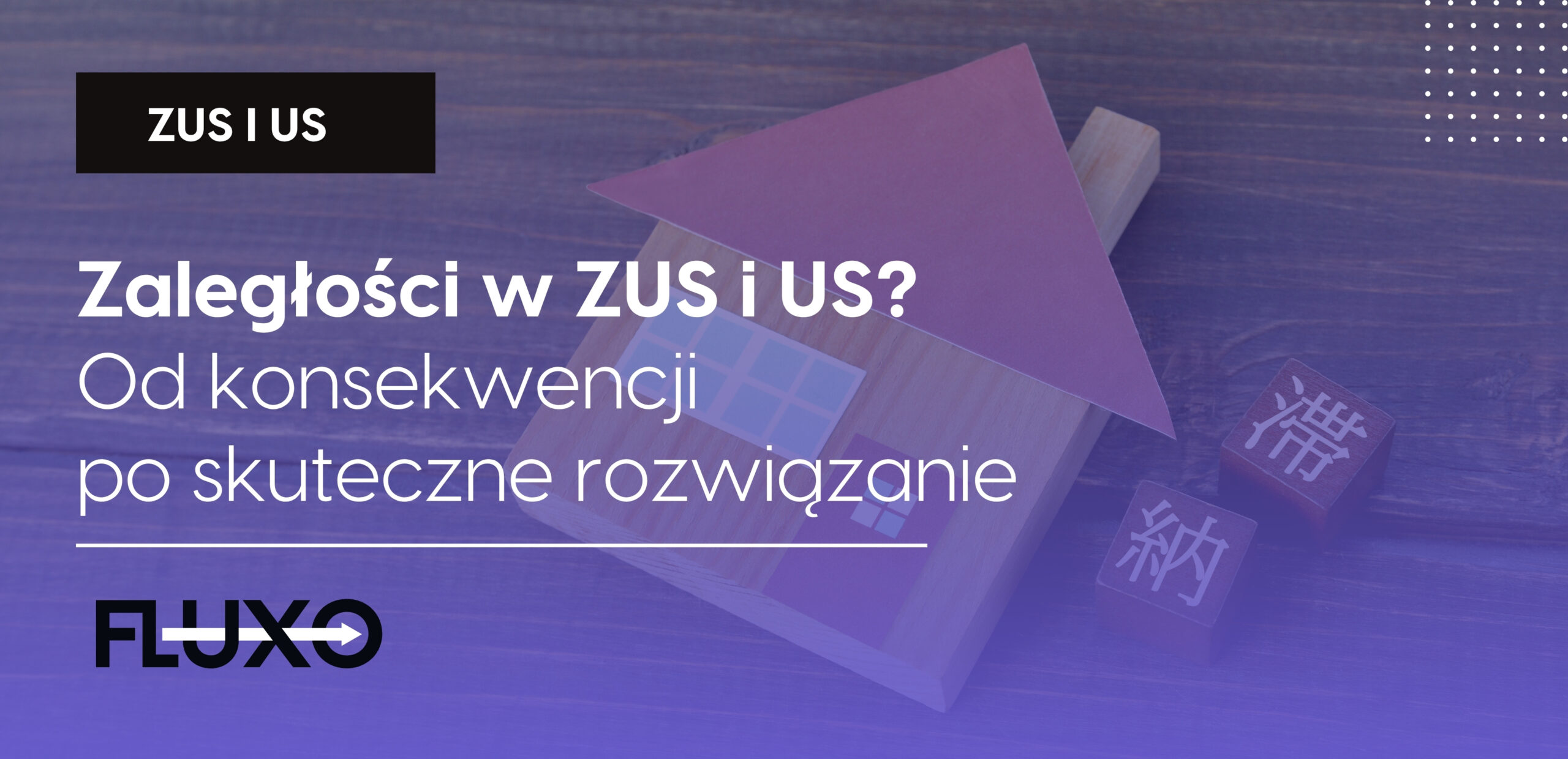 okładka - fluxo - zus i us